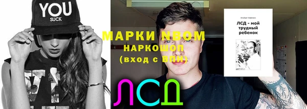 спиды Горняк