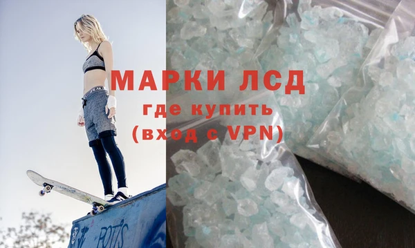 спиды Горняк