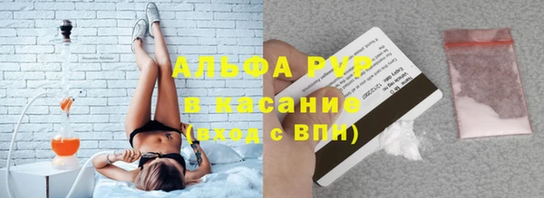 спиды Горняк